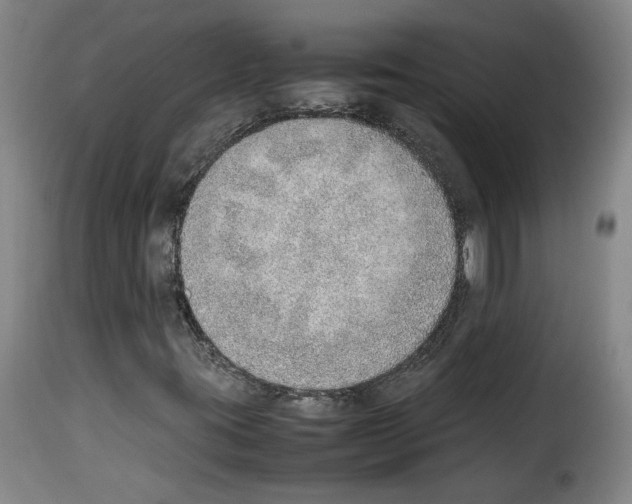 X0000114221395200911201034