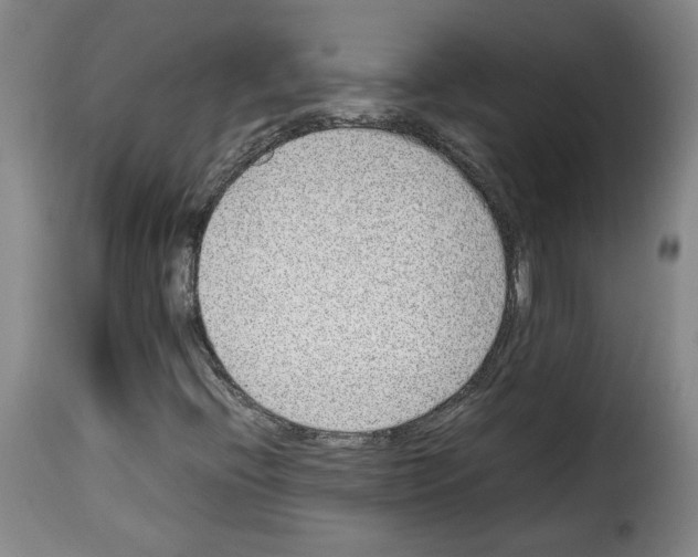 X0000114221396200911201034