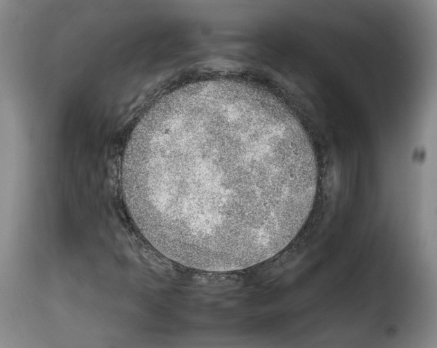 X0000114221397200911201034