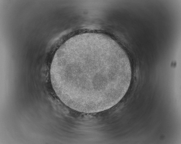 X0000114221398200911201034