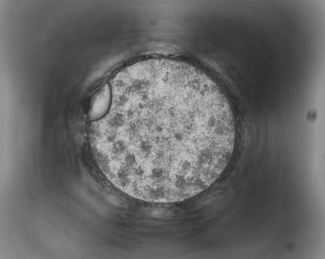X0000114221399200911201034