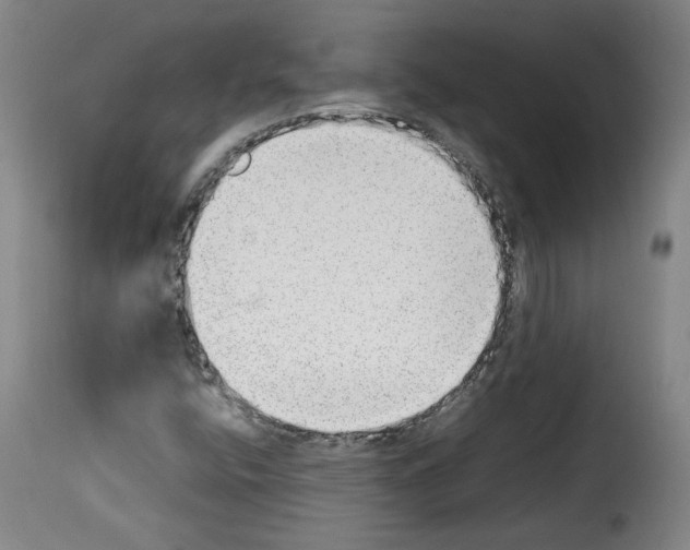 X0000114221400200911201034