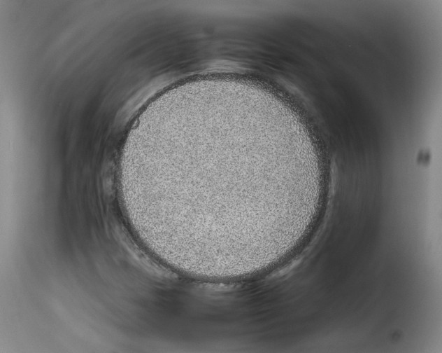 X0000114221401200911201034