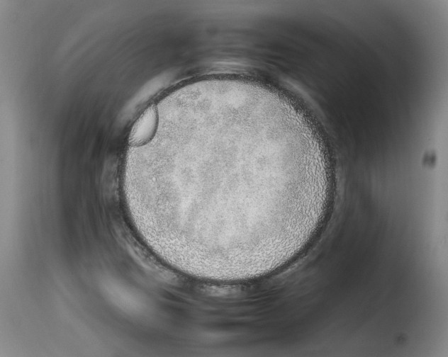 X0000114221403200911201034
