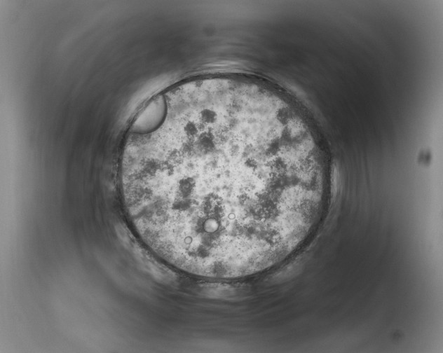 X0000114221405200911201034