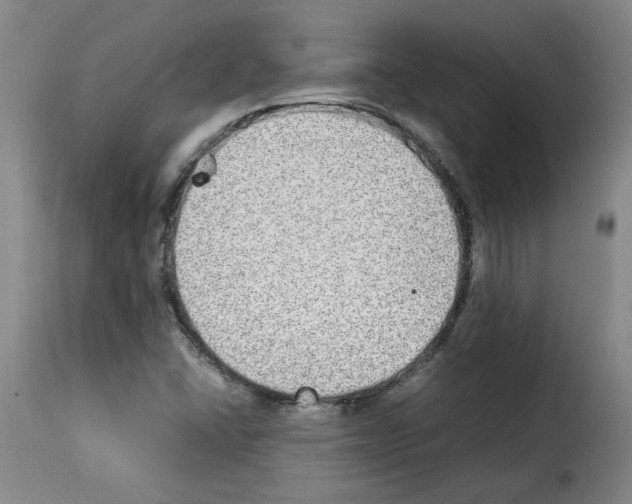 X0000114221406200911201034
