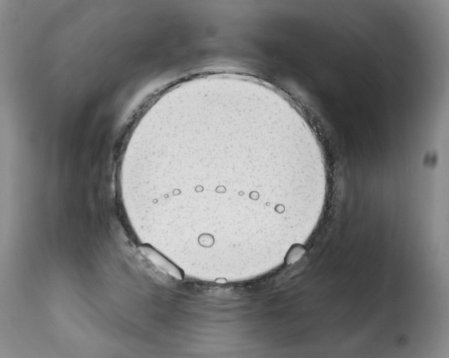 X0000114221408200911201034