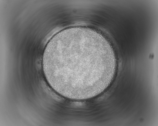 X0000114221409200911201034