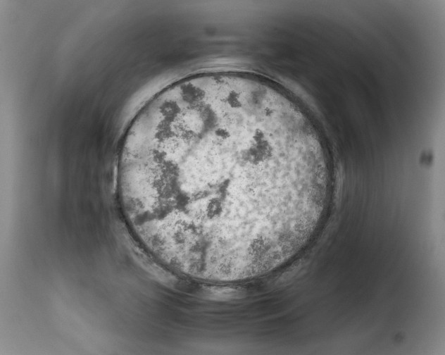 X0000114221413200911201035