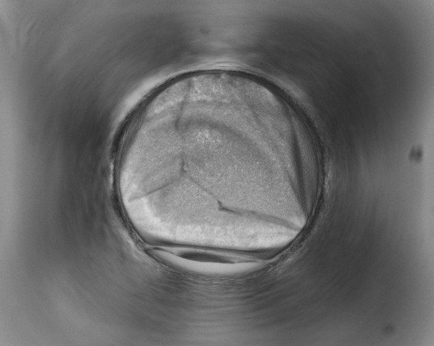 X0000114221414200911201035