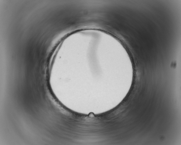 X0000114221416200911201035