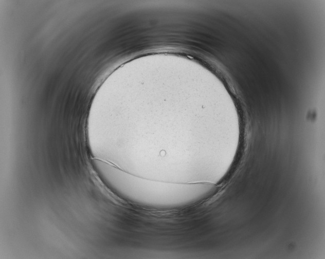 X0000114221417200911201035