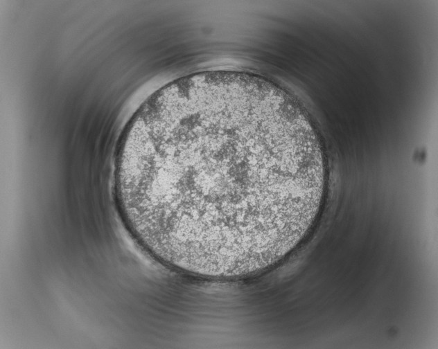 X0000114221418200911201035