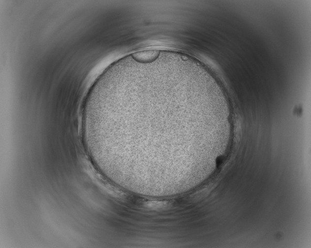 X0000114221419200911201035