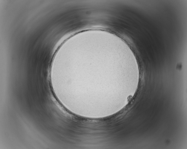 X0000114221420200911201035