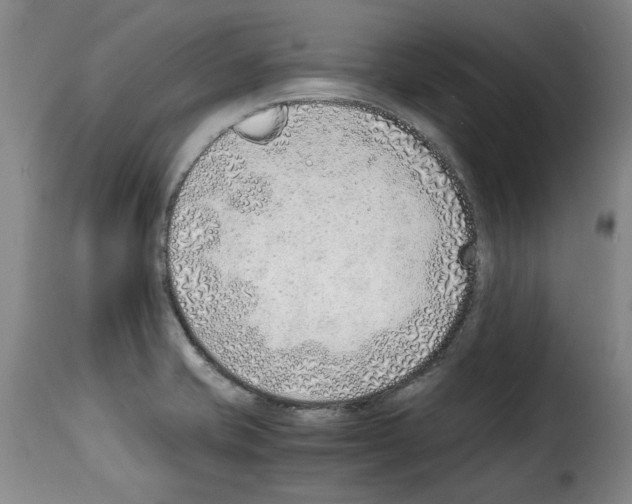 X0000114221421200911201035