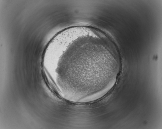 X0000114221422200911201035