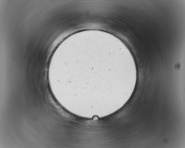 X0000114221424200911201035
