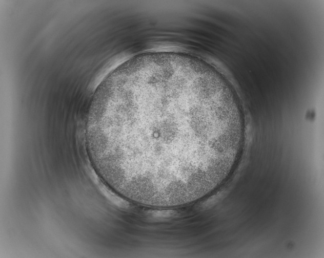 X0000114221425200911201035