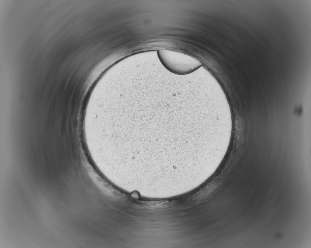 X0000114221426200911201035