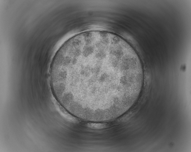 X0000114221427200911201035