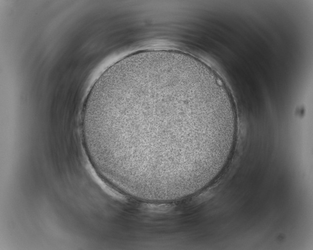 X0000114221429200911201035