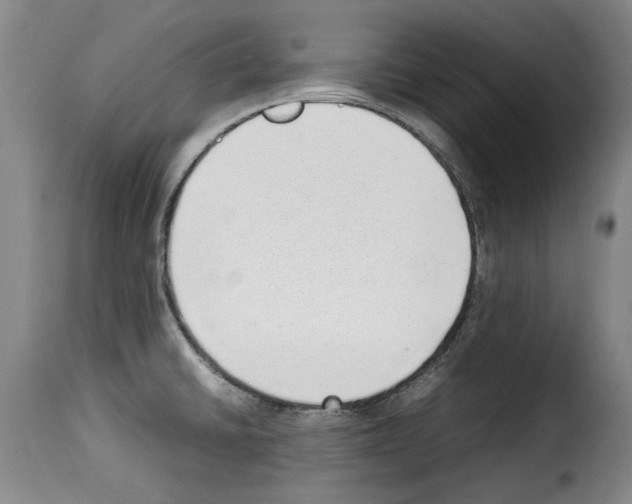 X0000114221430200911201035