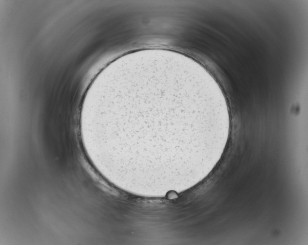 X0000114221432200911201035