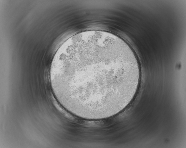 X0000114221433200911201035