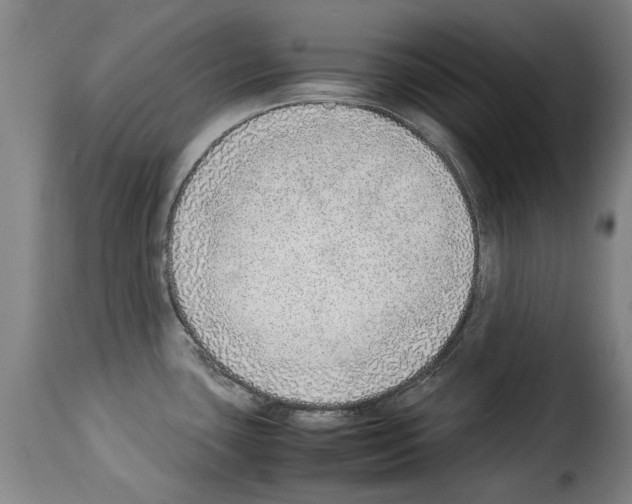 X0000114221435200911201035