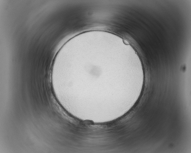 X0000114221436200911201035