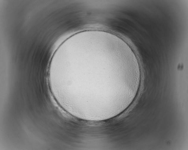 X0000114221440200911201035