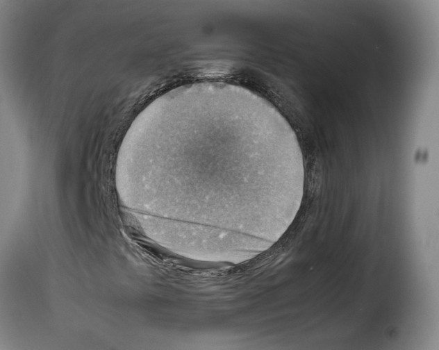 X0000114221441200911201034