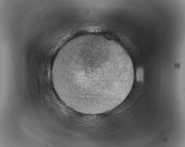 X0000114221444200911201034