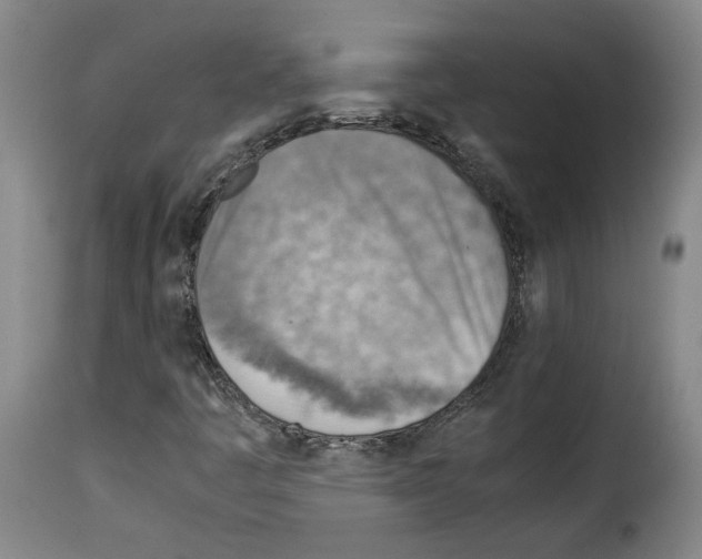 X0000114221445200911201034