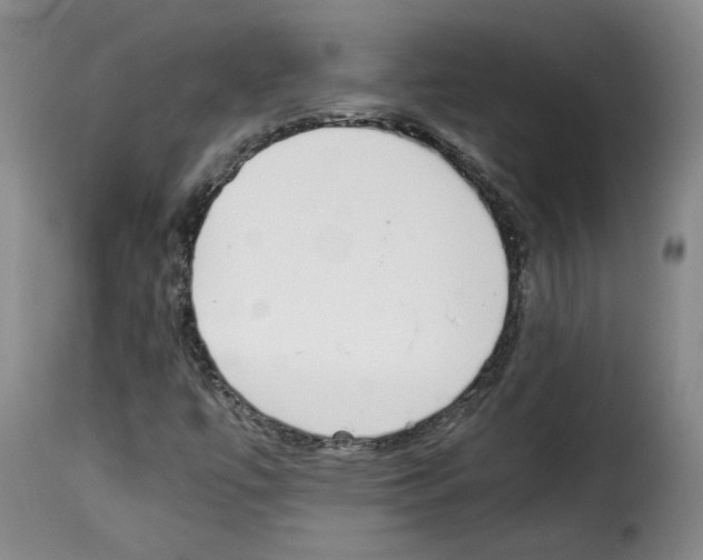X0000114221447200911201034