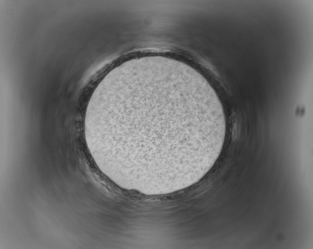 X0000114221448200911201034