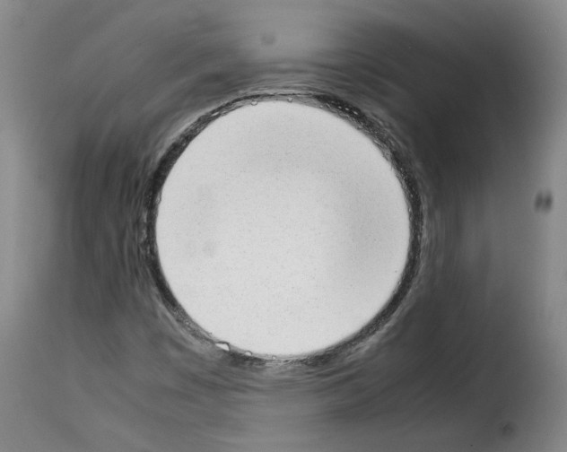 X0000114221449200911201034