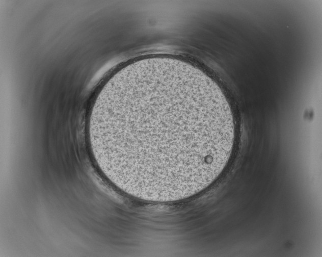 X0000114221450200911201034