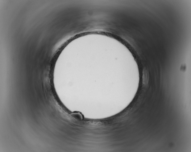 X0000114221452200911201034