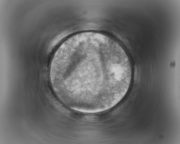 X0000114221453200911201034