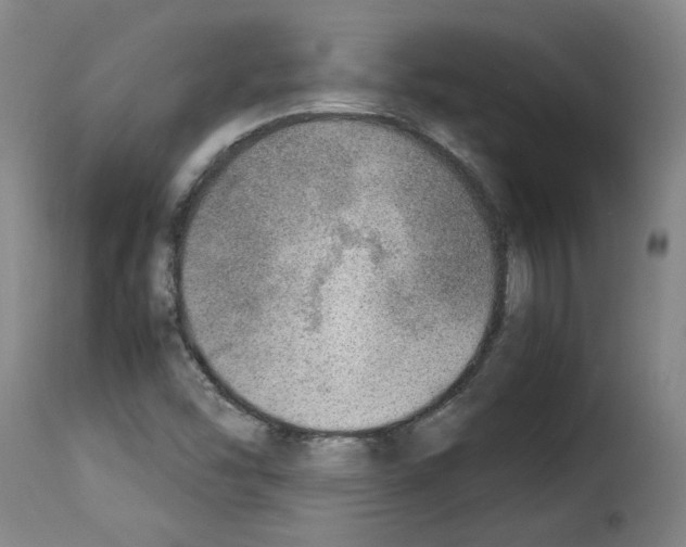 X0000114221454200911201034