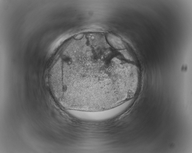 X0000114221455200911201034