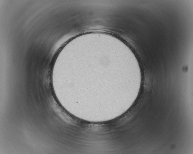 X0000114221458200911201034