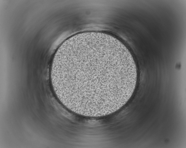 X0000114221459200911201034