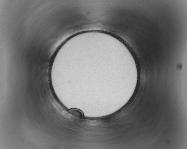 X0000114221460200911201034
