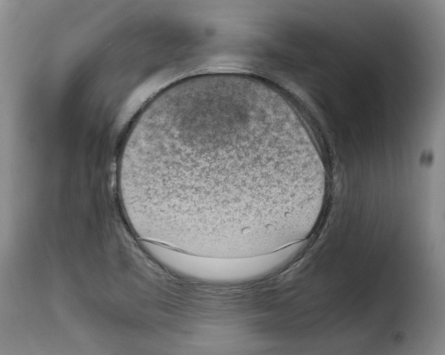 X0000114221461200911201034