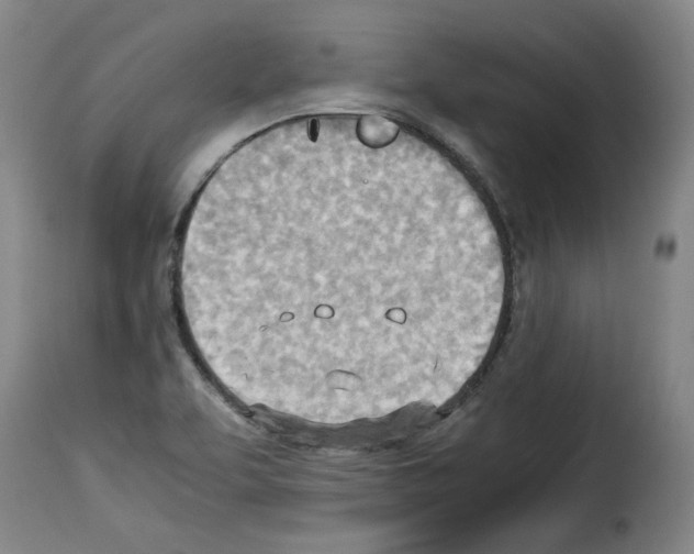X0000114221463200911201034