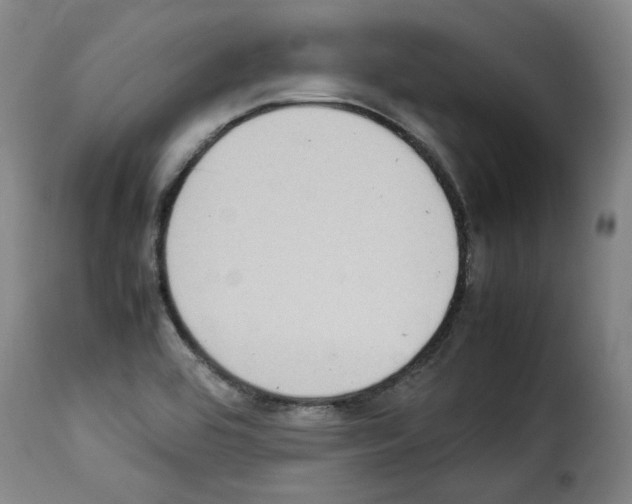 X0000114221464200911201034