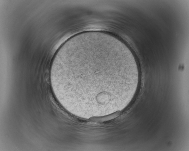 X0000114221465200911201034